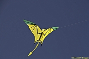 32 FESTIVAL CERVIA 2012 - 222